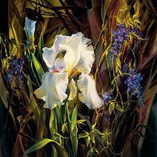 Схема вышивки «Серия Цветы»