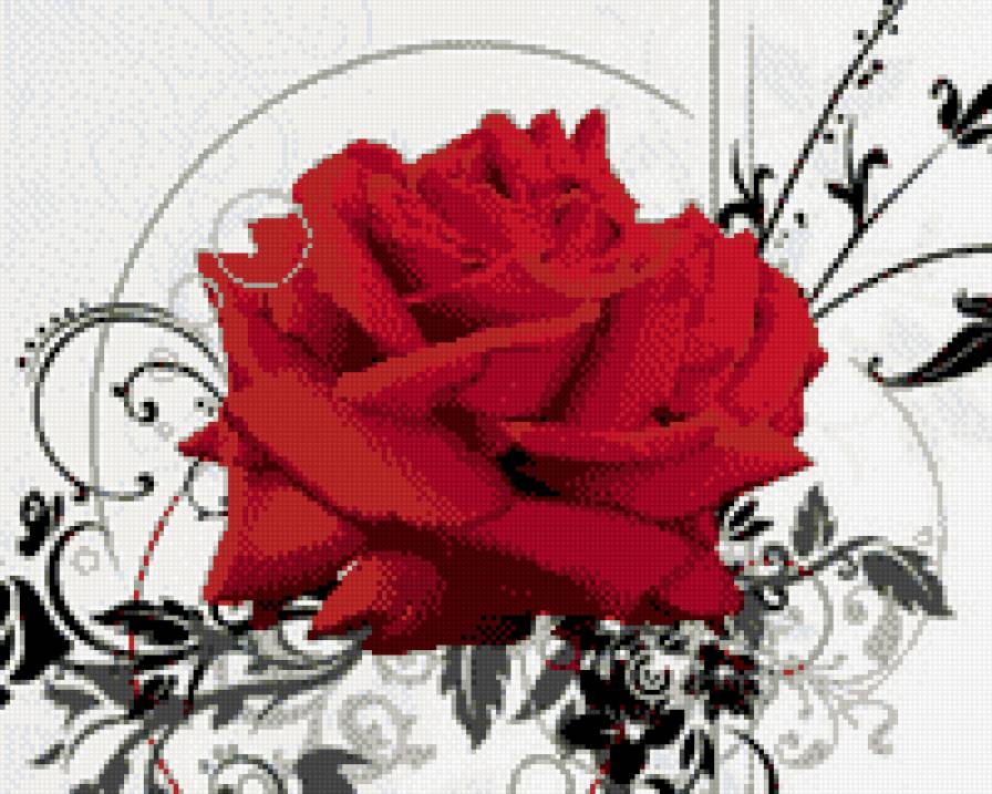 Роза - красная роза, цветы - предпросмотр