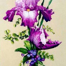 Схема вышивки «Ирисы»