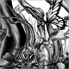 Схема вышивки «Монохром бабочка»