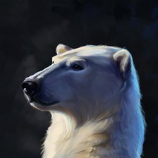 Схема вышивки «Северный мишка»