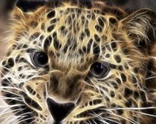 Схема вышивки «гепард»