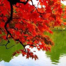 Схема вышивки «Природа»