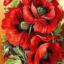 Схема вышивки «Маки»