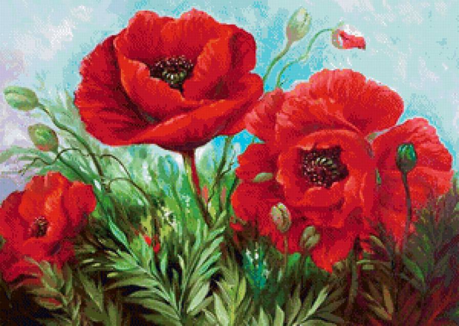 Маки - маки, цветы, живопись - предпросмотр