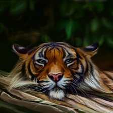 Схема вышивки «тигр»