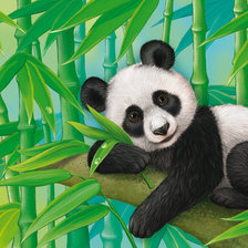 Схема вышивки «панда»