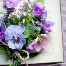 Схема вышивки «нежность цветочная»