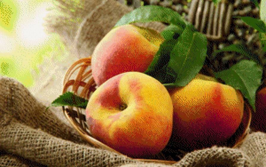 №745715 - фрукты, персики - предпросмотр