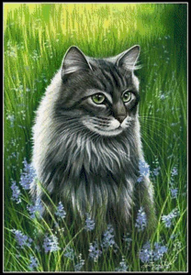 Кошка - кот, животные, поляна - предпросмотр