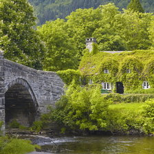 Схема вышивки «Природа»