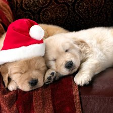 Схема вышивки «друзья»