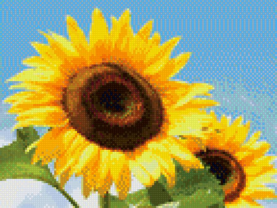 подсолнух - предпросмотр