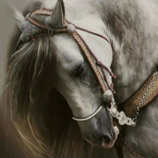 Схема вышивки «наши друзья»