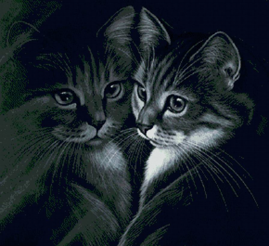 отражение - животные, кот, кошка - предпросмотр