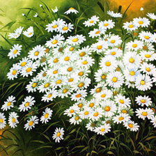 Схема вышивки «ромашки»