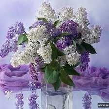 Схема вышивки «Сирень»