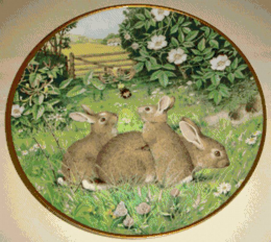 Животные 1.Зайцы - предпросмотр