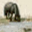 Предпросмотр схемы вышивки «Животные 10.» (№746496)