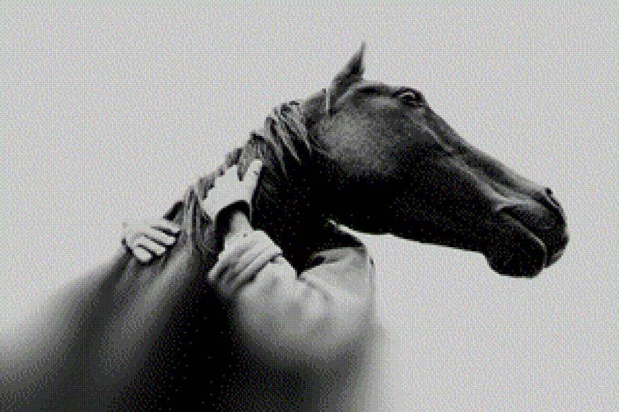 By Christopher Wilson - horse, christopher wilson, лошадь - предпросмотр