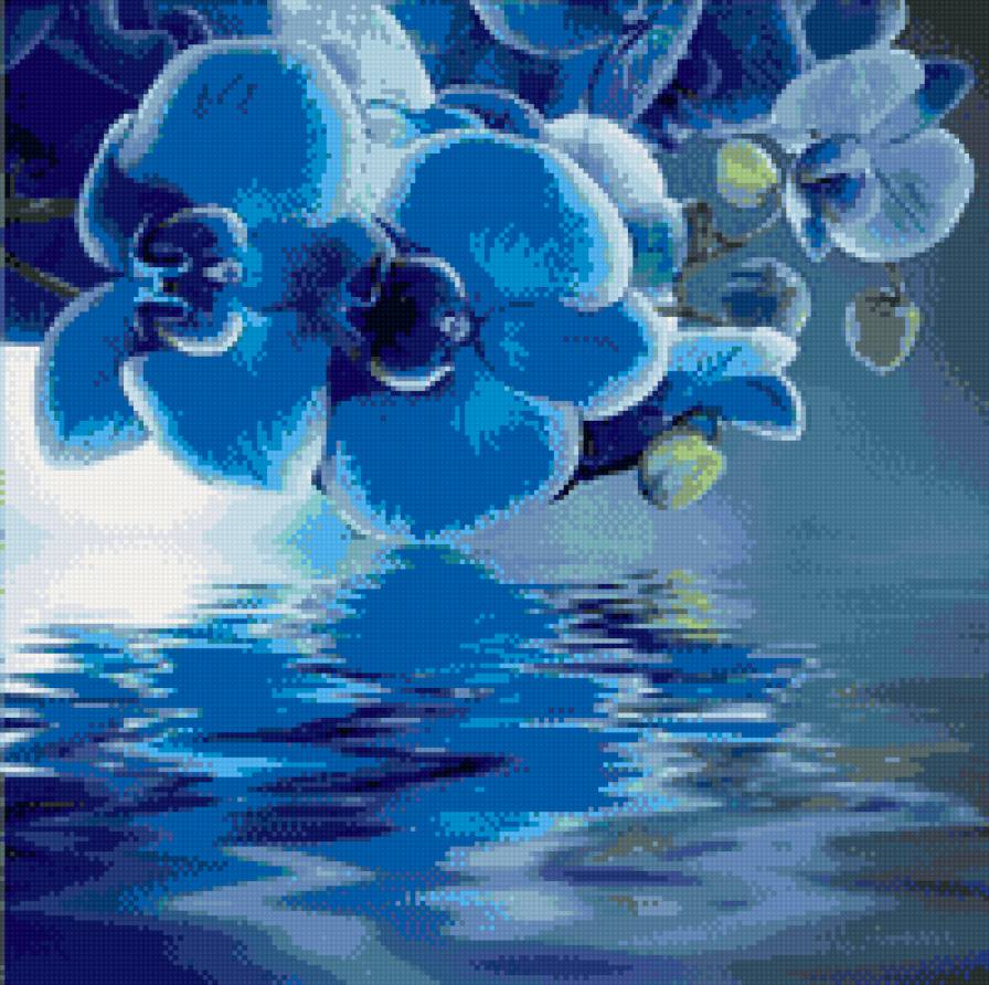 Голубая орхидея - голубая орхидея, вода, цветы - предпросмотр