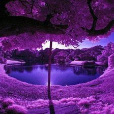 Схема вышивки «сад в Японии»