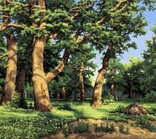 Схема вышивки «№746667»