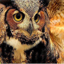 Схема вышивки «№746690»