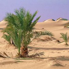 Схема вышивки «Пустыня Сахара»