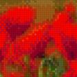 Предпросмотр схемы вышивки «Маки» (№746760)