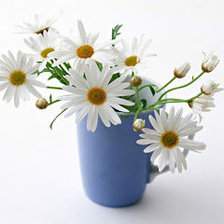 Схема вышивки «Ромашки»