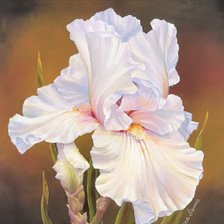 Схема вышивки «рис1»