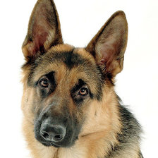 Схема вышивки «№746811»