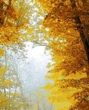 Схема вышивки «№746815»