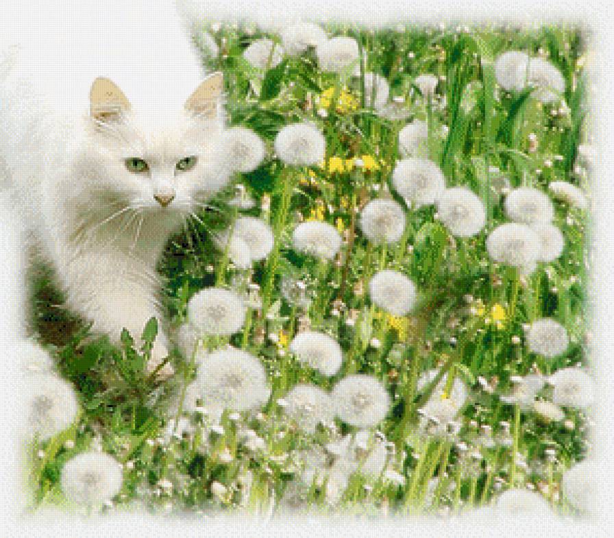 Котенок в одуванчиках - коты - предпросмотр
