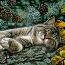 Схема вышивки «Кошка»