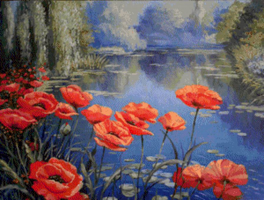 Маки - природа, вода, пейзаж - предпросмотр