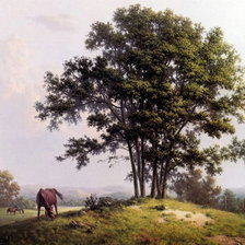 Схема вышивки «На лугу»