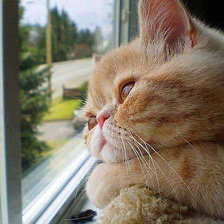 Схема вышивки «Грусть»