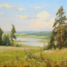 Схема вышивки «Поле»