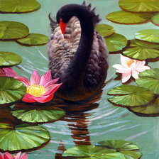 Схема вышивки «Лебедь на пруду»