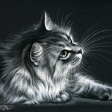 Схема вышивки «Кот»