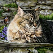 Схема вышивки «Кот»