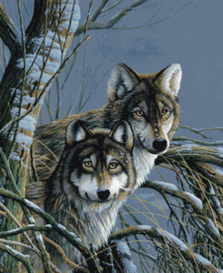 Волки в зимнем лесу - волки - предпросмотр