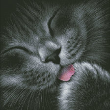 Схема вышивки «№747782»