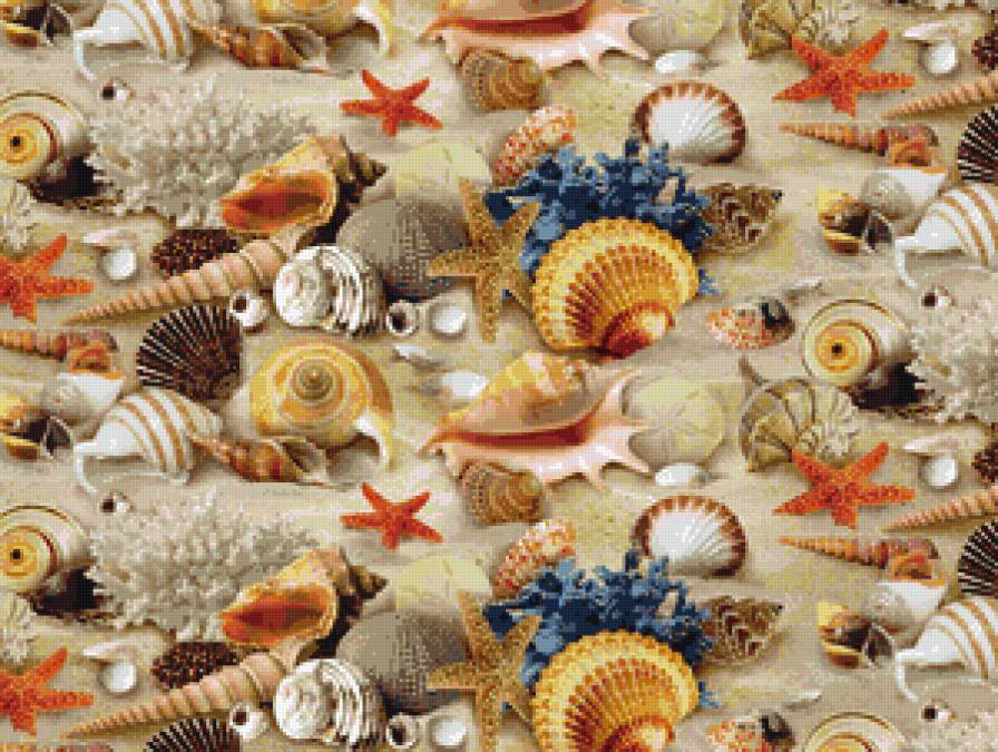 ассорти из ракушек - ракушки - предпросмотр