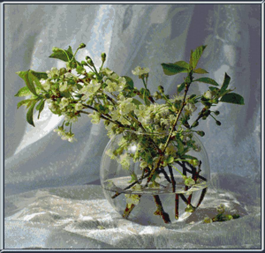 Яблоневый цвет - цветы - предпросмотр