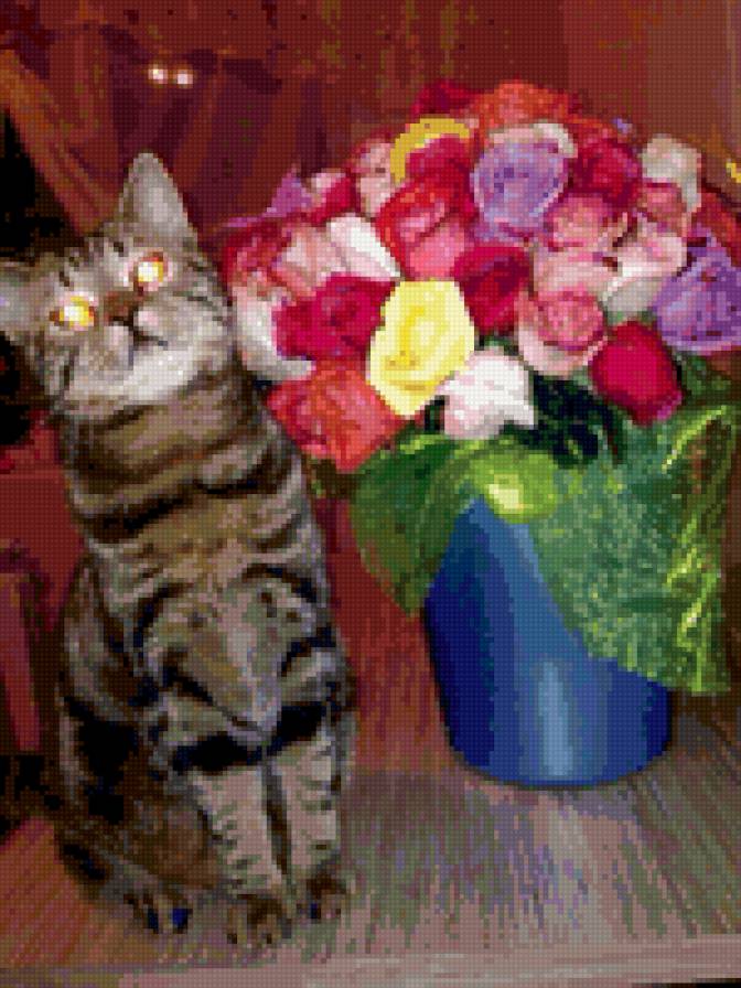 Мой котик - розы, британец, кот - предпросмотр