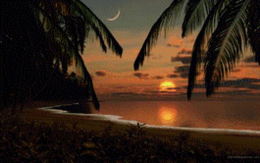 рассвет - картина, пальма, природа, экзотика, пейзаж, пальмы, закат, остроов - предпросмотр