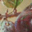 Предпросмотр схемы вышивки «Натюрморт с виноградом и сливами» (№748327)